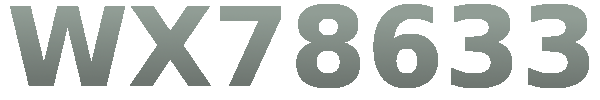 WX78633 Logo